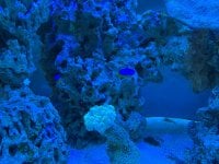 IMG_9710.jpeg