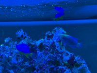 IMG_9712.jpeg
