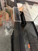 IMG_1009.jpeg