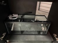 IMG_1013.jpeg