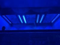IMG_6200.jpeg