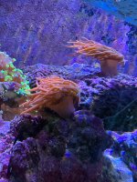 IMG_1465.jpeg