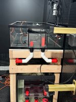 IMG_0357.jpeg