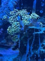 IMG_0616.jpeg