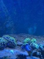 IMG_0617.jpeg