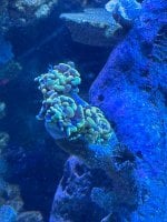 IMG_0620.jpeg