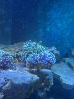 IMG_0623.jpeg