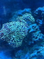 IMG_0624.jpeg