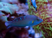 IMG_3483.jpeg