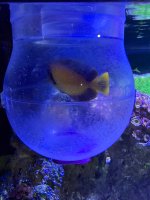 IMG_6571.jpeg