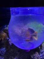 IMG_6572.jpeg