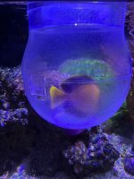 IMG_6573.jpeg