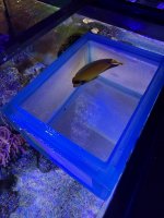 IMG_6574.jpeg