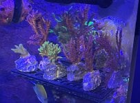 IMG_6877.jpeg