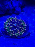 IMG_6666.jpeg