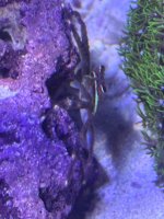 IMG_2491.jpeg