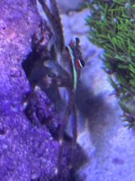 IMG_2490.jpeg