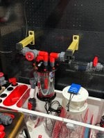 IMG_0377.jpeg