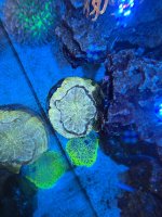 IMG_5624.jpeg