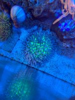 IMG_5628.jpeg
