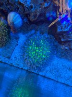 IMG_5629.jpeg