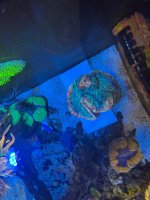 IMG_5649.jpeg