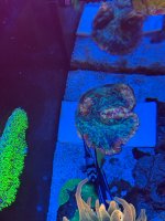 IMG_5656.jpeg