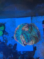 IMG_5658.jpeg