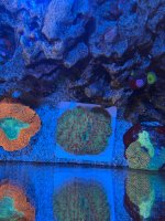 IMG_5653.jpeg