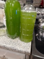 IMG_4673.jpeg