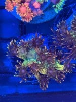 IMG_4863.jpeg
