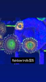 F41D7769-4262-42B7-BF89-8001CB63E4D1.jpeg