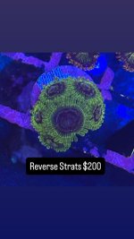 9A678EA8-0B0A-417A-B167-1F5DE2253837.jpeg