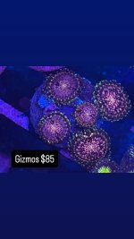 CC52C7B4-CC74-4E93-ABD9-023418F15CE9.jpeg