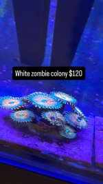 614CFD7E-0F5F-44E9-AE80-EEB8F7A738E9.jpeg