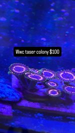0A4100B1-641B-432F-BCDC-DD5926D2C8DC.jpeg