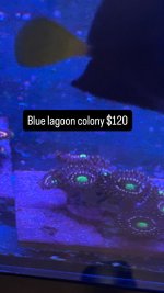 7C850740-1122-47DB-A6D4-7D118F8FCE38.jpeg
