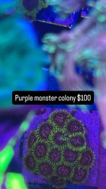 6C59ED00-6E9A-418A-A868-8743A2A47802.jpeg