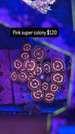 E572F384-65E9-4B13-8D05-1C8F9DE7134E.jpeg