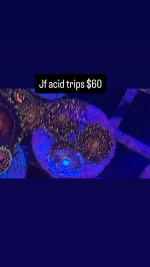 165653C3-5880-4BB8-9728-2A5C6B704709.jpeg