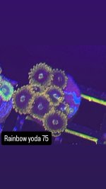 F46ADFE5-8CDC-4A34-BC1F-727FBDB69F2E.jpeg