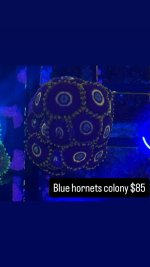 7B54123D-BC11-4819-B452-E270E5FB818B.jpeg