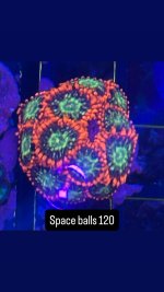 0317E6AC-51A2-47F3-89C1-586CA1BA7DB7.jpeg