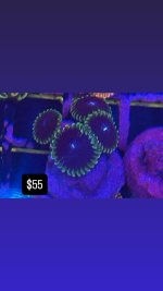 5858B9BE-4044-4F85-897B-B6F0A19734F3.jpeg