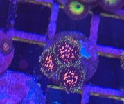 IMG_0958.jpeg