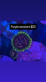 81812C52-C3FC-4B1A-99D6-B2319DF1E03E.jpeg