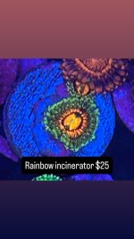 0DD484EC-88CE-415B-9D36-BC5D45C43C2B.jpeg