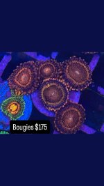 31538EAC-2D25-48F4-B98B-D0C3A17A02C6.jpeg