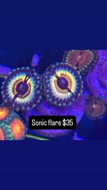 4CD4AAFC-C87E-41A1-A037-5F4BF1091D78.jpeg
