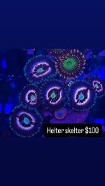 C73A2771-121F-40B2-989D-320A9AA5CD56.jpeg